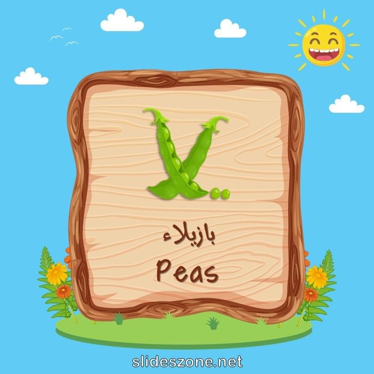 صورة تعليمية فلاش