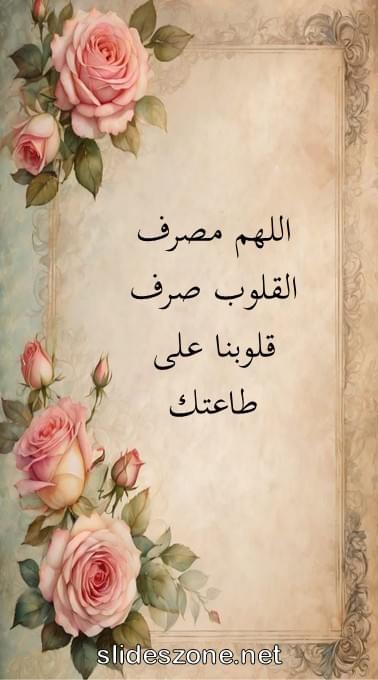 صورة للمشاركة