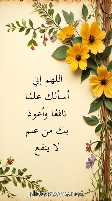 صورة للمشاركة