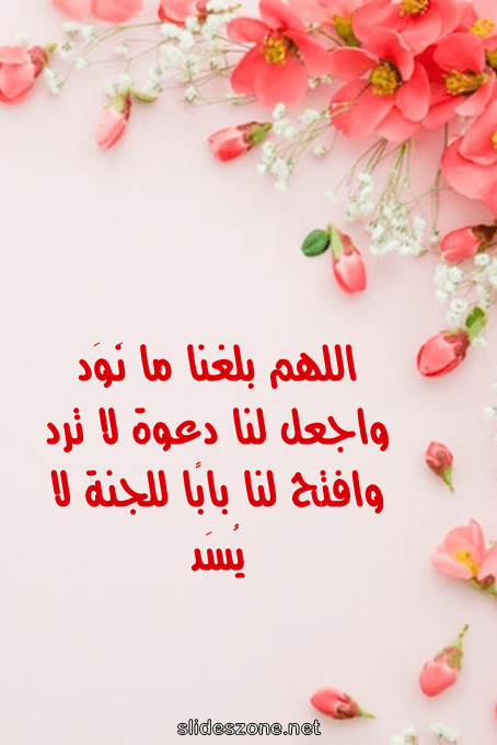 صورة للمشاركة