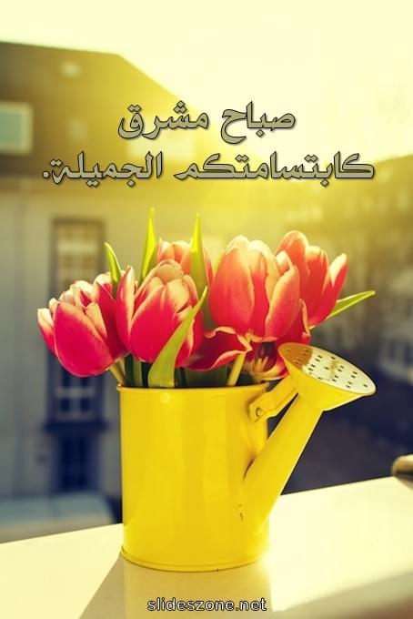 صورة للمشاركة