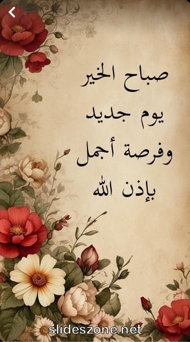 صورة للمشاركة