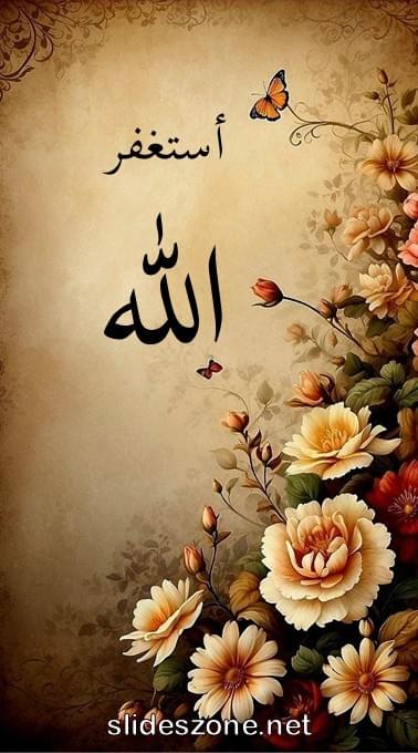 صورة للمشاركة