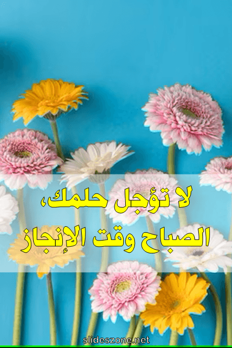 صورة للمشاركة