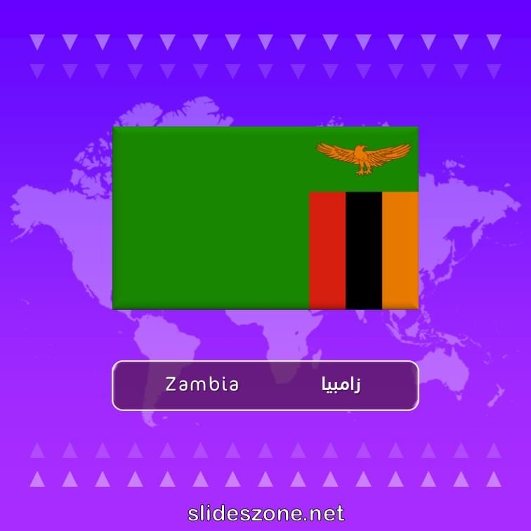 صورة تعليمية فلاش