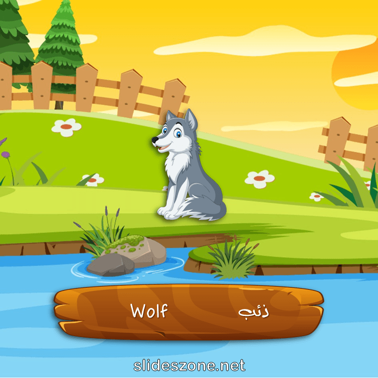 صورة تعليمية فلاش