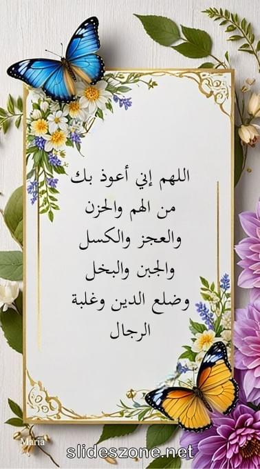 صورة للمشاركة