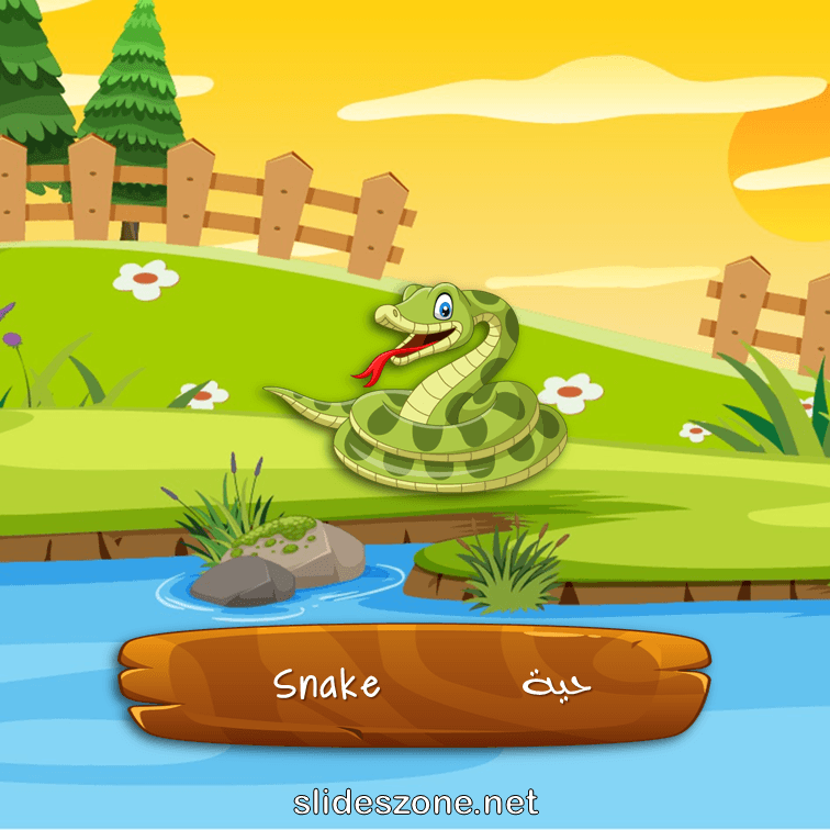 صورة تعليمية فلاش