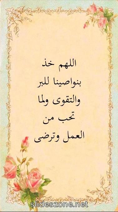 صورة للمشاركة