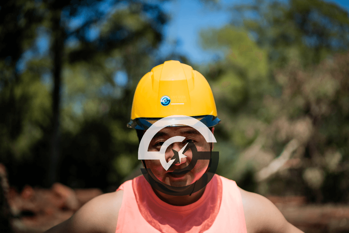 HARD HAT DELUXE