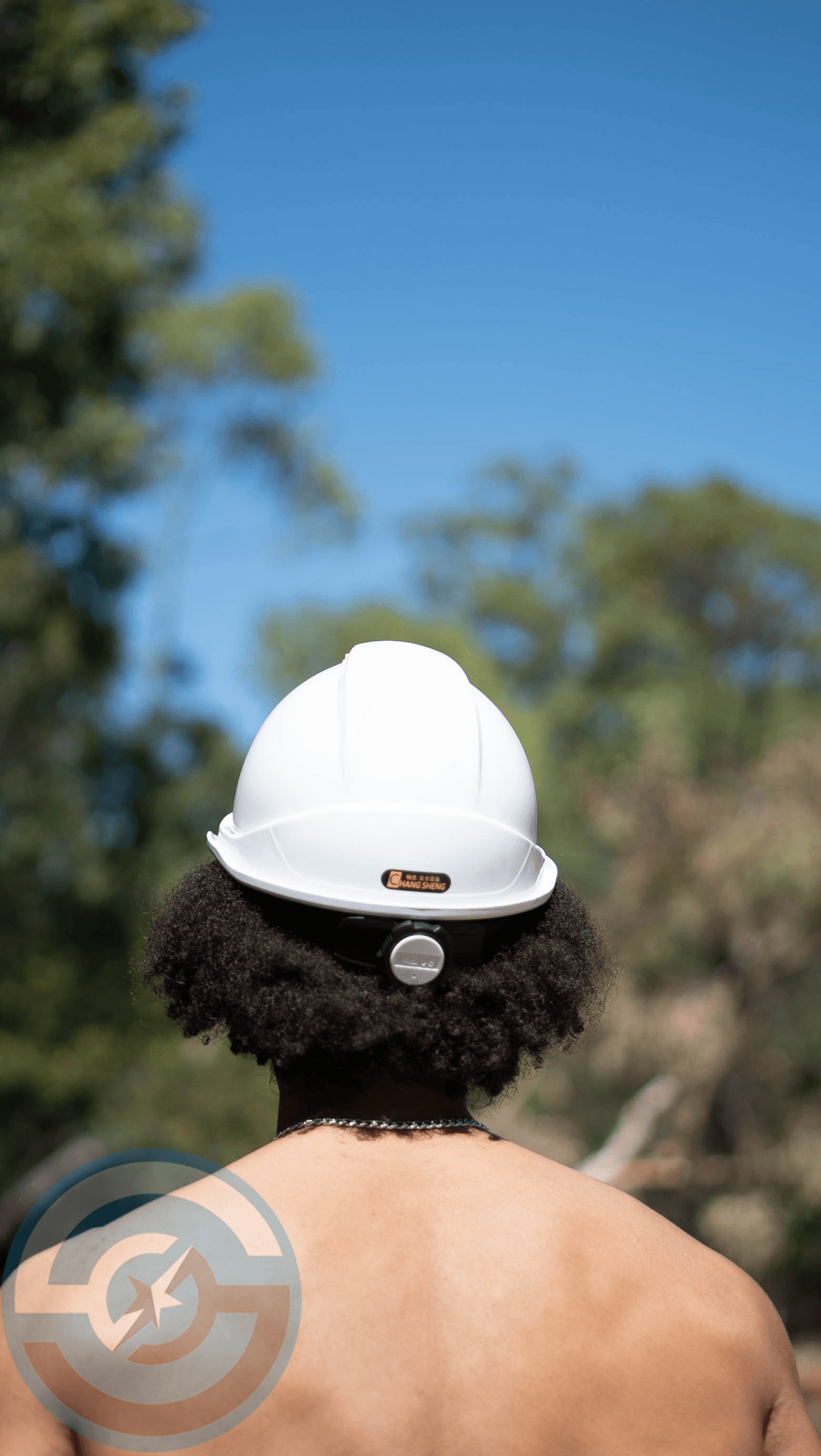 HARD HAT V500