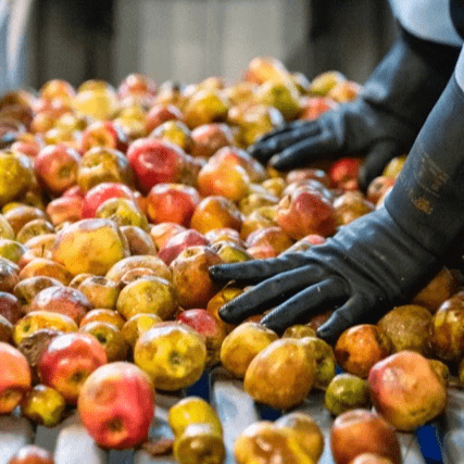 La Cidrerie HIC a pour ambition de s'inscrire dans une démarche 100% locale