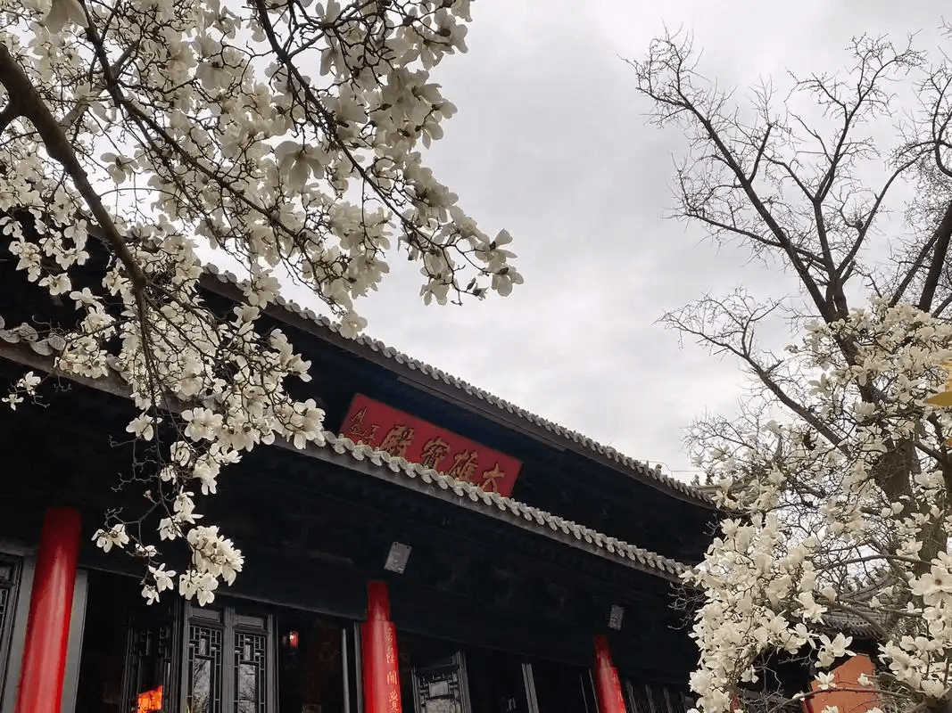 2026年5月21日黄历全解析：四月初五“满日”，小满节气双子座，宜祭祀祈福，属牛者需谨慎 Astrolo 