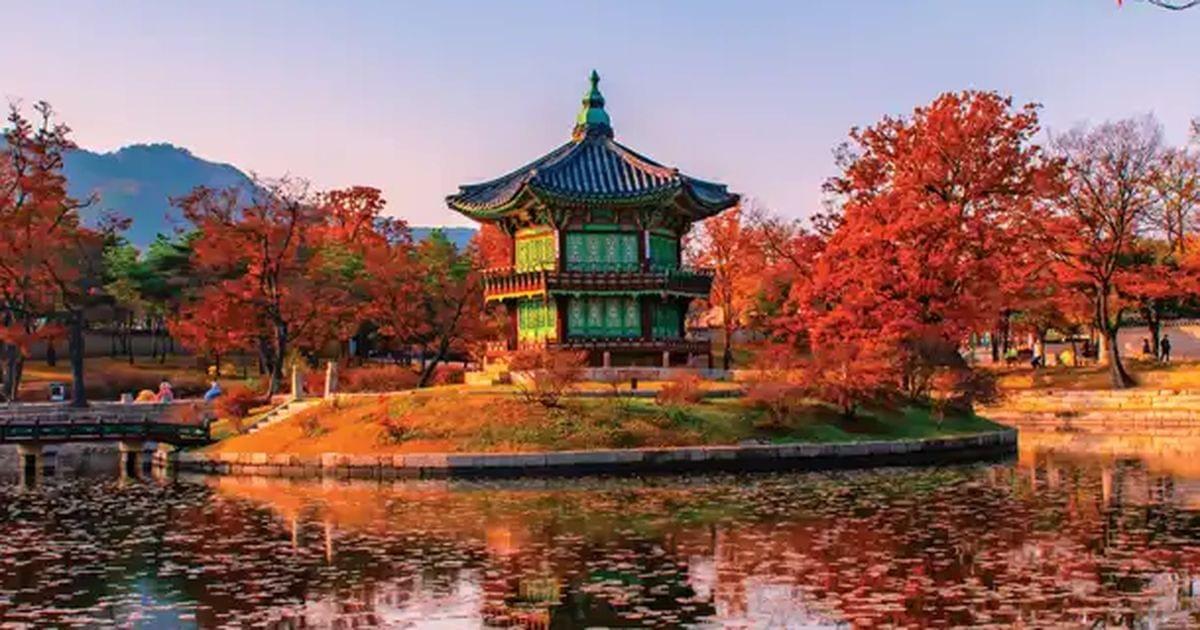 Top Coliving Spaces in Seoul