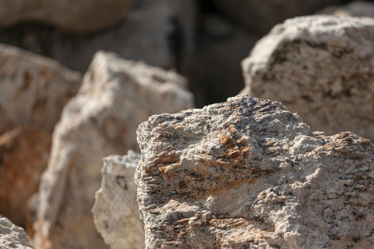 Section image