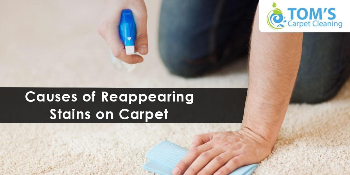 Causes of Reappearing Stains on Carpet