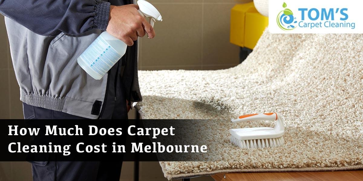 How Much Does Carpet Cleaning Cost in Melbourne?
