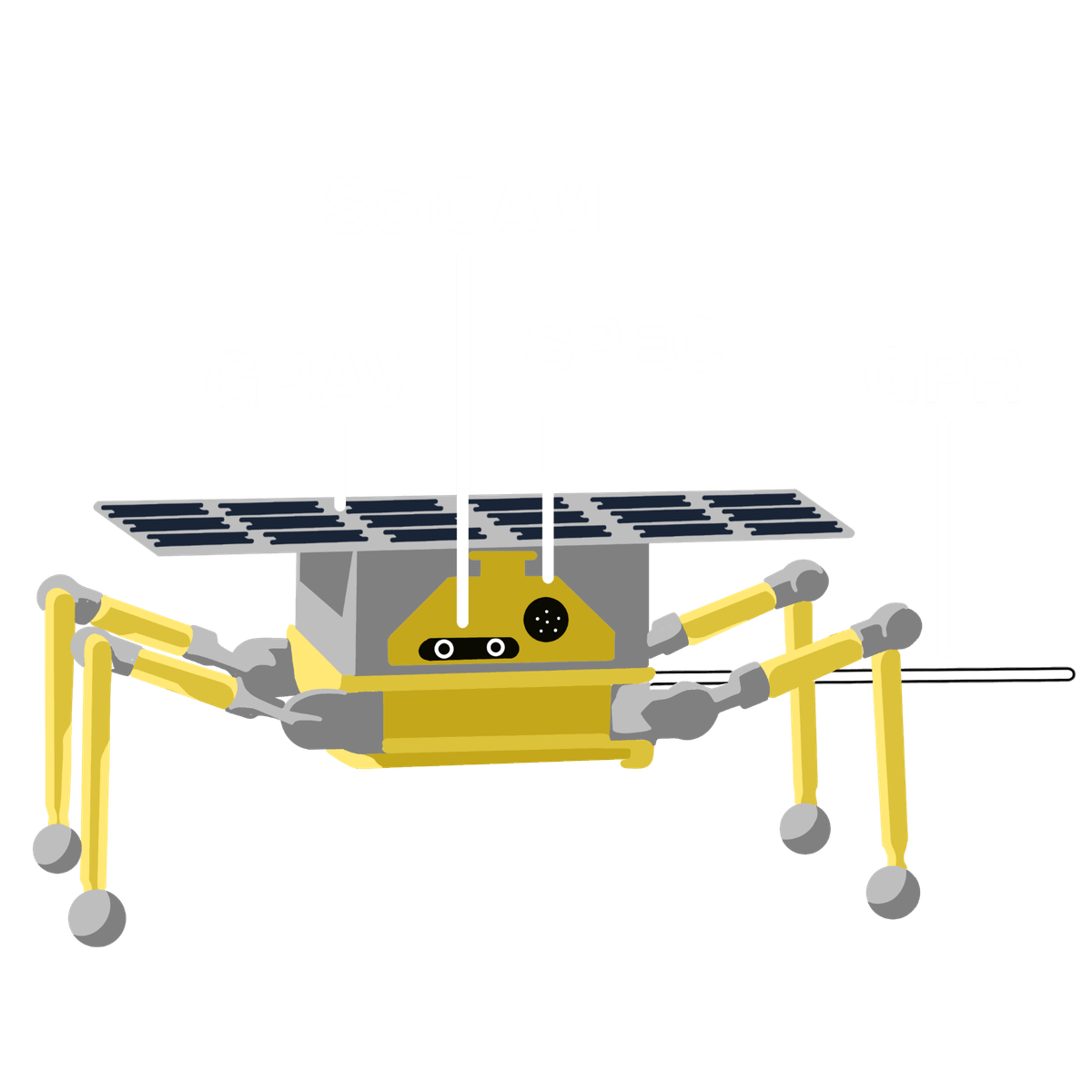 Section image
