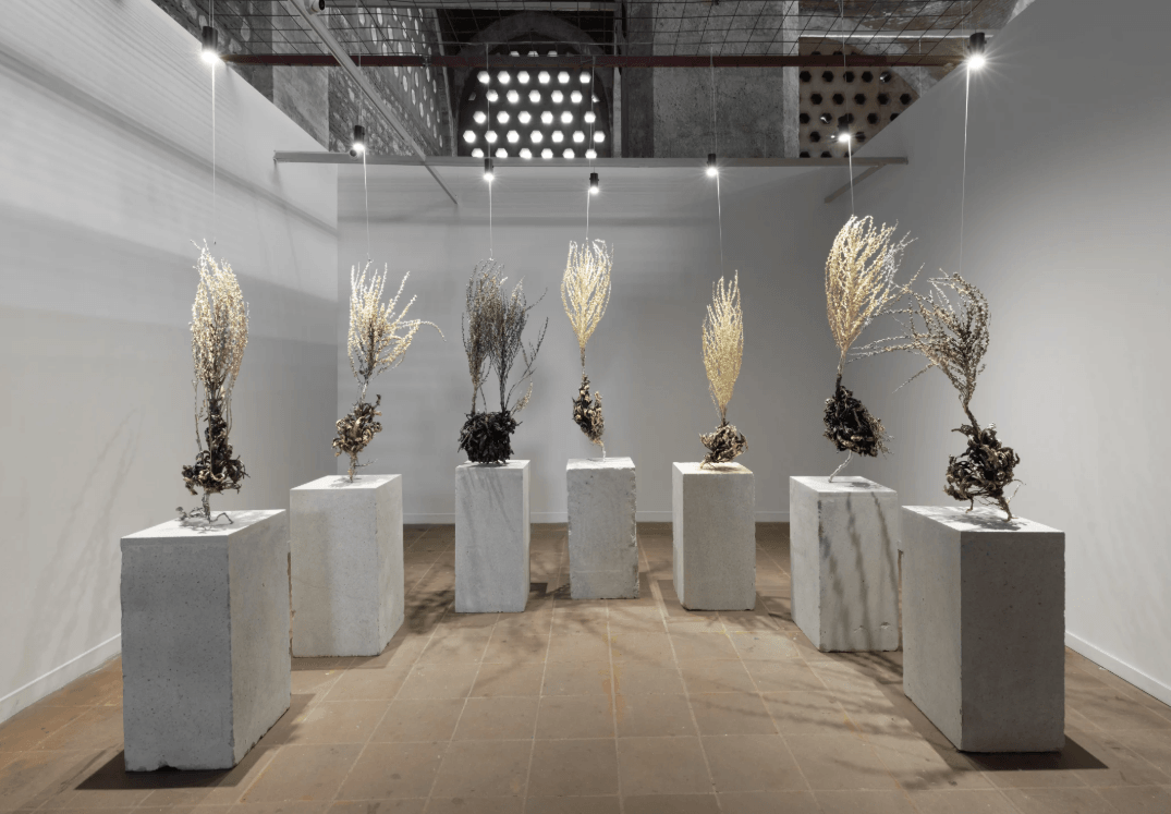  Artist Statement - Vuslat Doğan Sabancı
