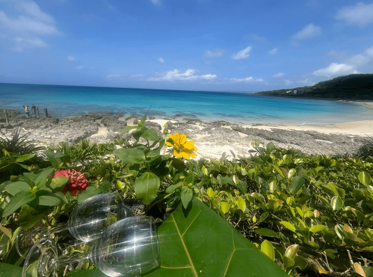 恆春海岸的白沙與藍綠色海水，前景是野花與海邊植被