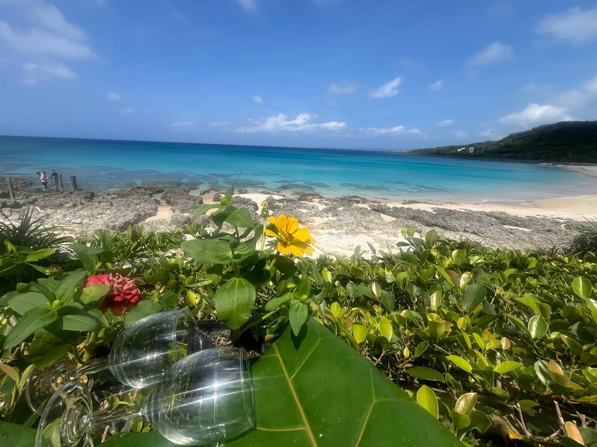 恆春砂島的白沙與藍綠色海水，前景是野花與海邊植被