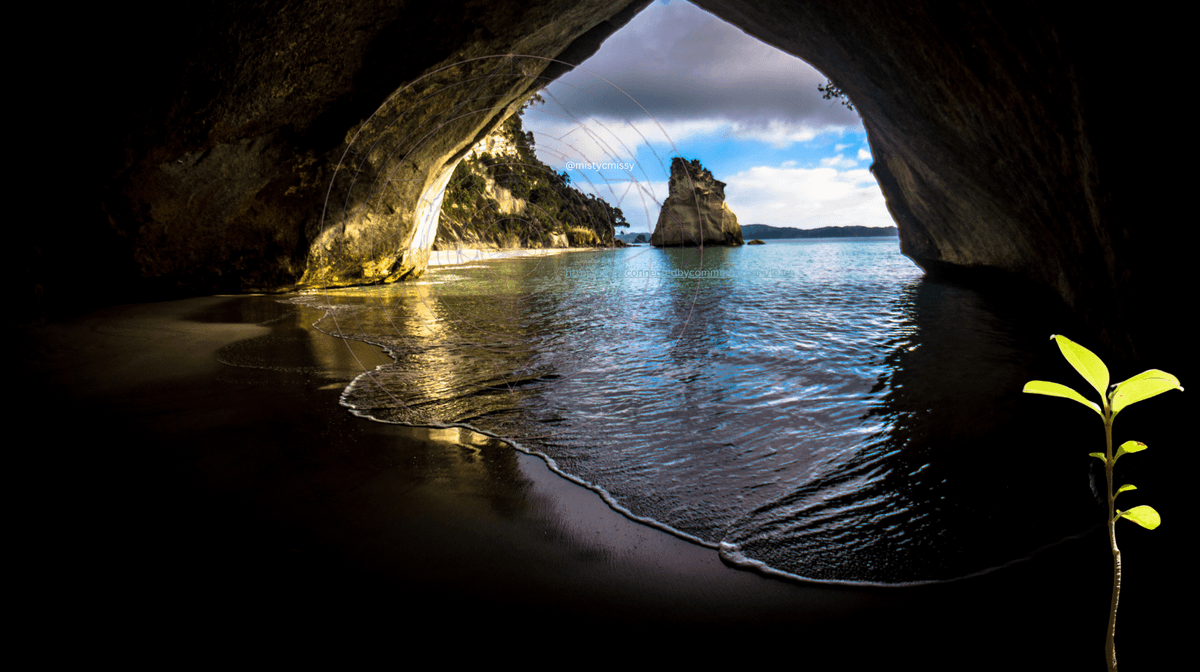 Visual representation of the Human Design Left Angle Cross of Cycles. A view from the interior of a dark coastal cave looks out onto a serene turquoise bay with a central rock formation. A subtle geometric circular grid is overlaid on the cave opening, and a small, vibrant green sapling grows in the foreground, symbolizing Gates 54, 53, 32, and 42—the journey of ambition, grounded initiation, and evolutionary completion.