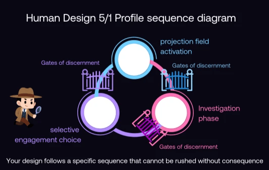 Human Design 5/1 Profile sequence diagram showing investigation phase, projection field activation, and selective engagement choice with discernment gates.