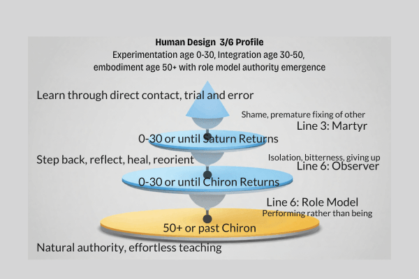 Human Design 3/6 Profile three life phases diagram showing experimentation age 0-30, integration age 30-50, and embodiment age 50+ with role model authority emergence
