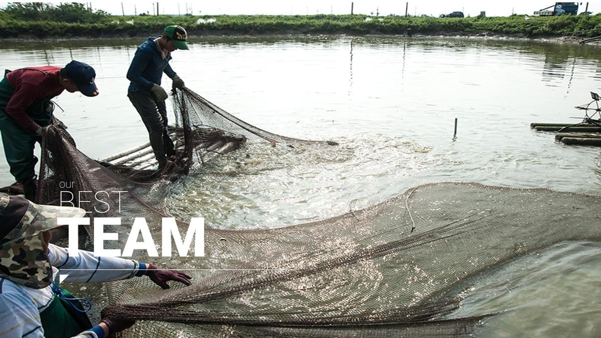 Join us, get the latest seafood information and market dynamics, let you grasp every wave of trend. Explore ocean's treasures: fresh seafood Aquatic products official website