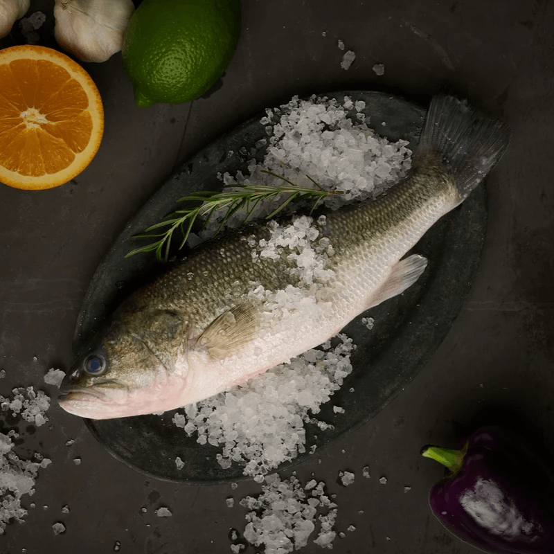 We focus on providing the freshest seafood, ensuring that quality and taste reach the highest standards. fresh seafood supply Our service Aquatic products official website