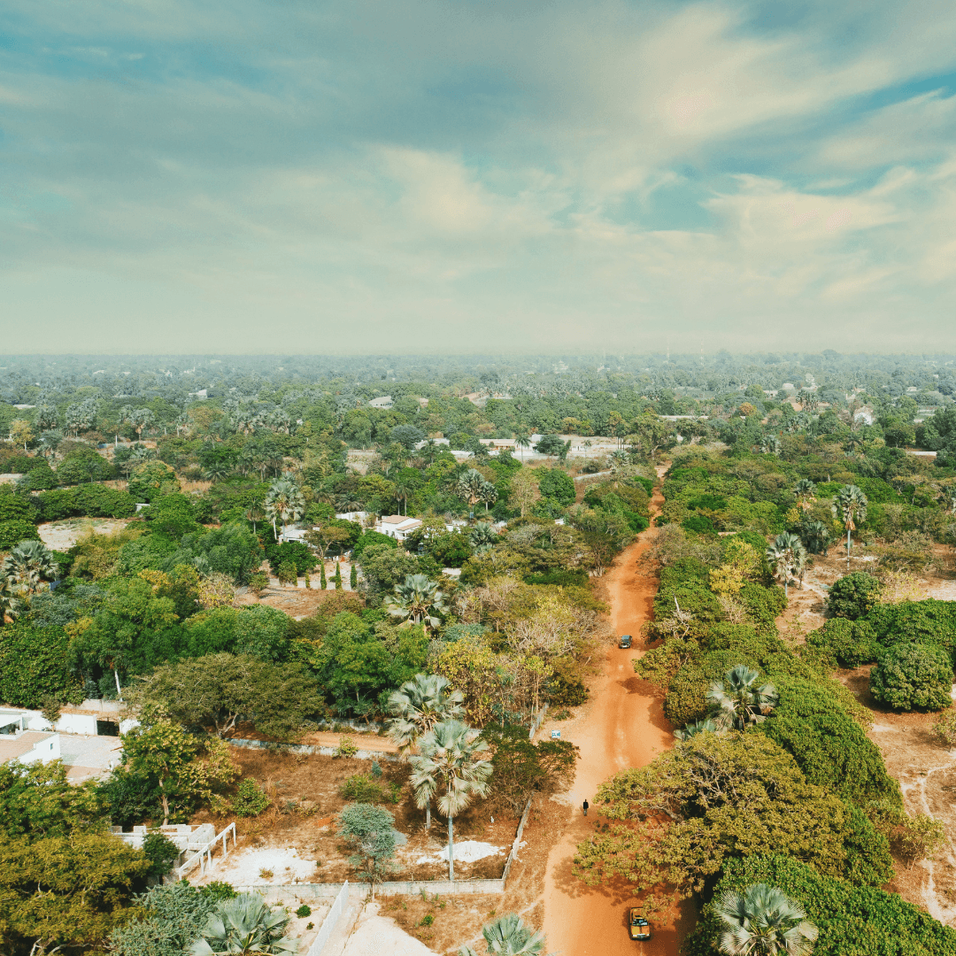 Explore our catalog of land for sale from today! Find your ideal land in Yaoundé or Douala Catalogue of Lands for Sale in Yaoundé/Douala