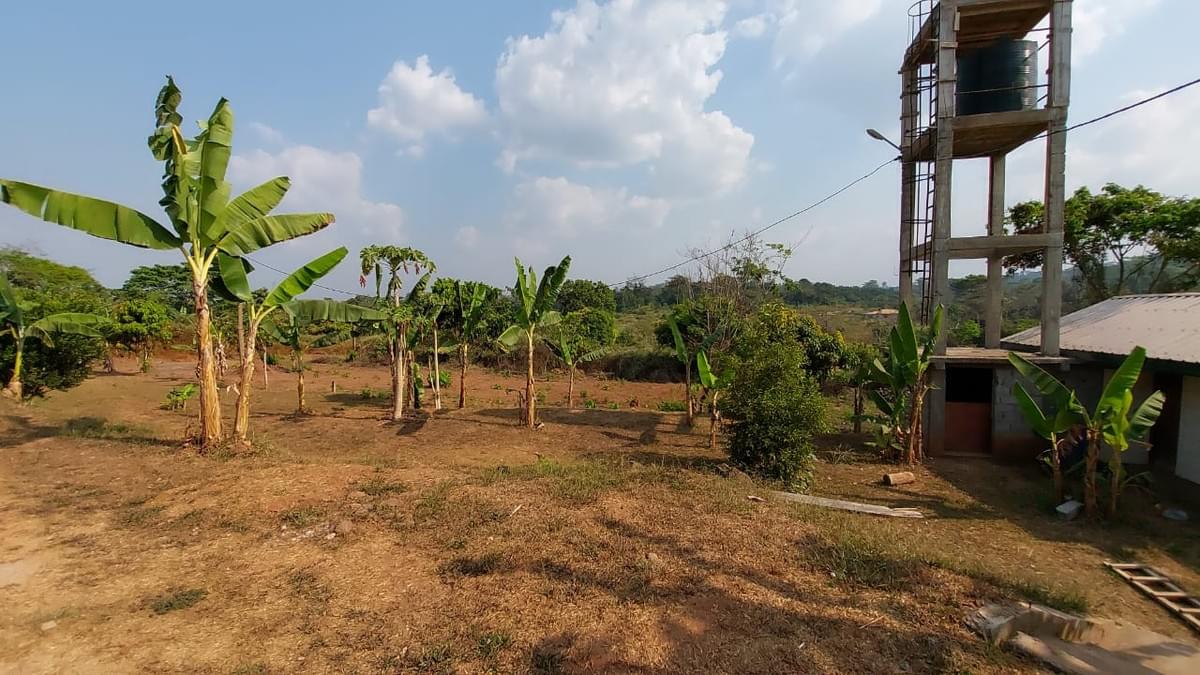 Our lands are located in areas with high development potential, guaranteeing added value for your future investments. Strategic locations Our Mission Catalog of Lands for Sale in Yaoundé/Douala