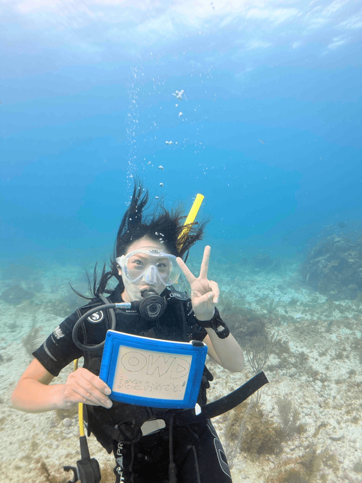 From beginners to advanced users, we have various diving plans available. You can choose the best plan to explore the beautiful underwater world. enriched diving plan Our company's service This is a diving service run by Japanese people located in Cancun, a resort area in Mexico.