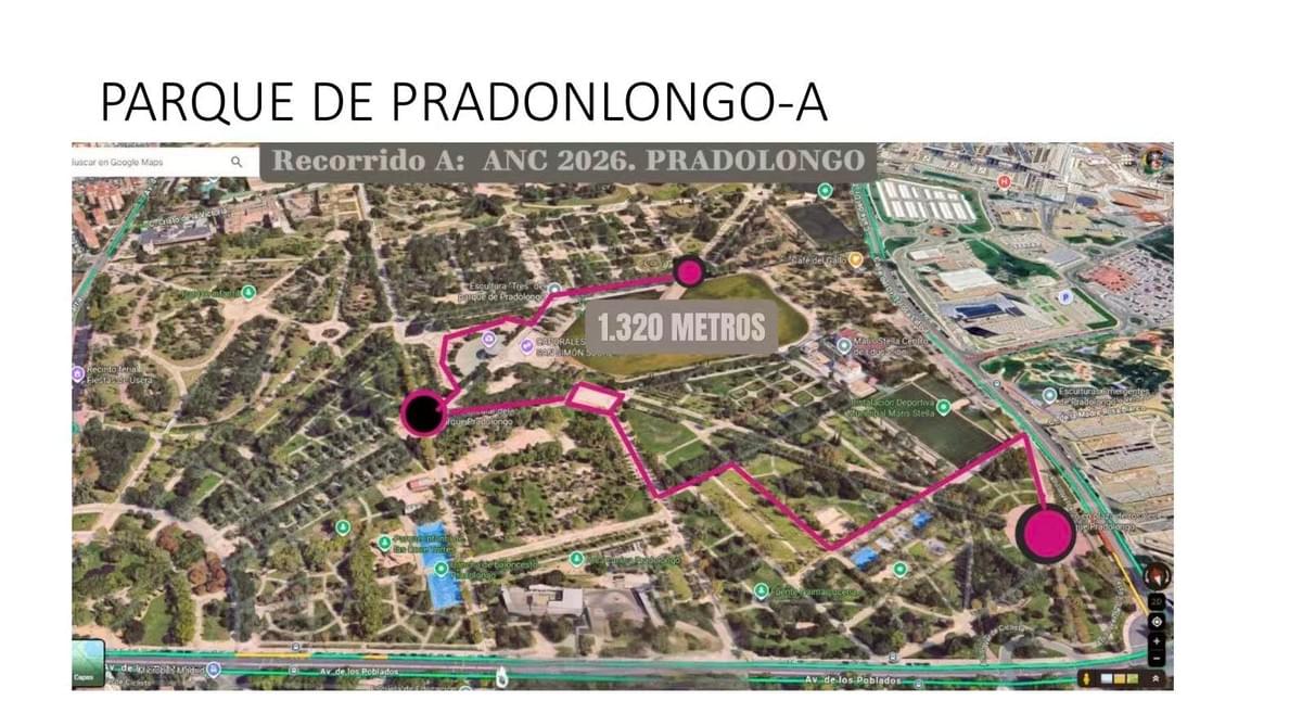 游行路线示意图