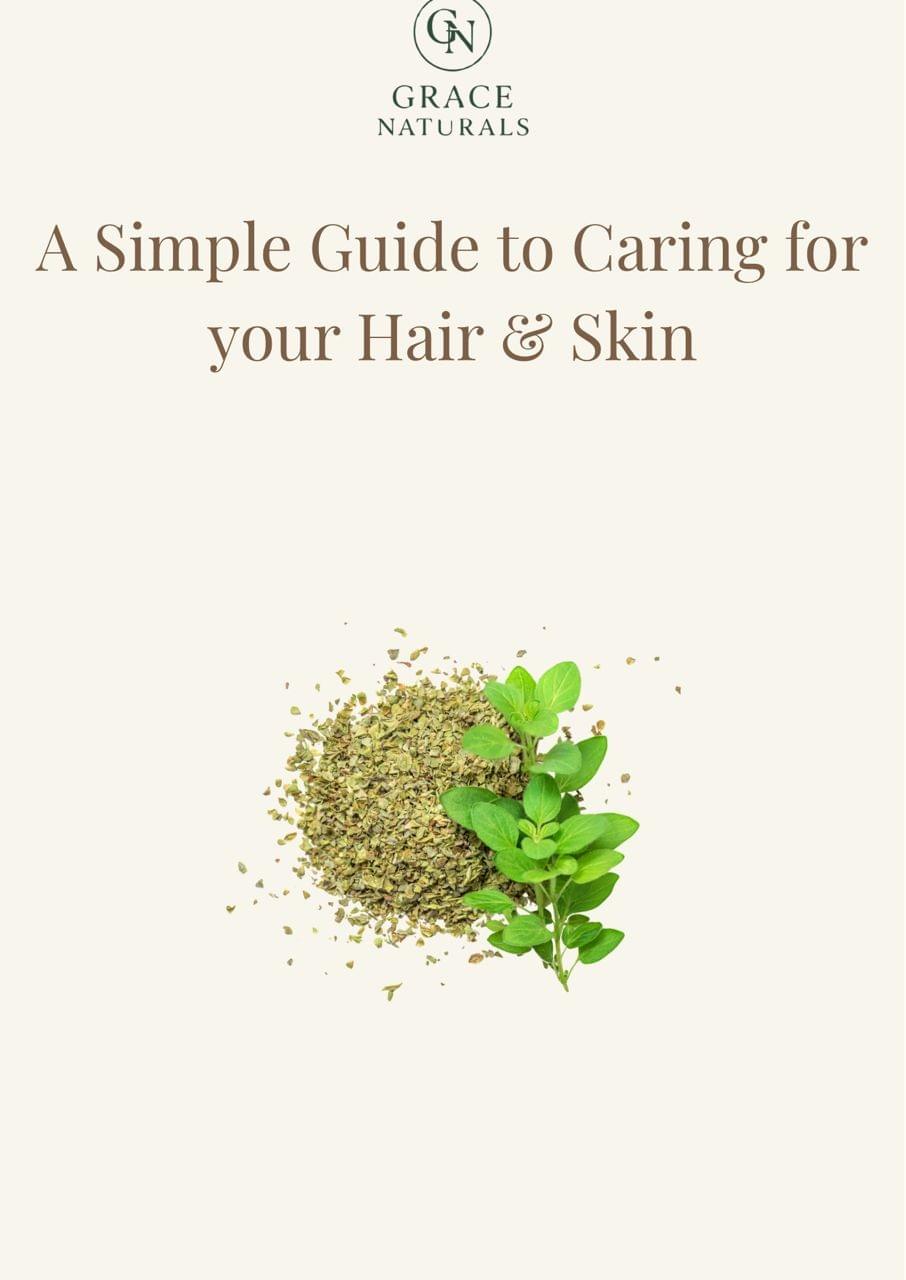 digital Guide book 
