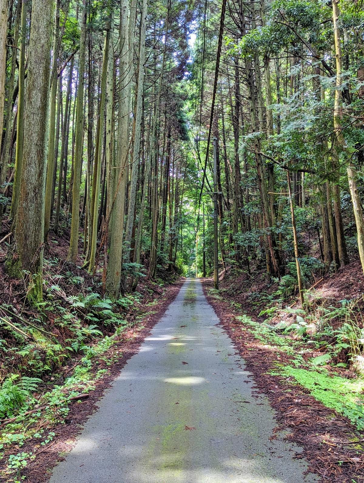 北摂とは？