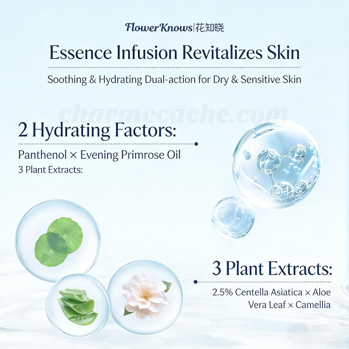 Shell's Jewel Radiance Primer