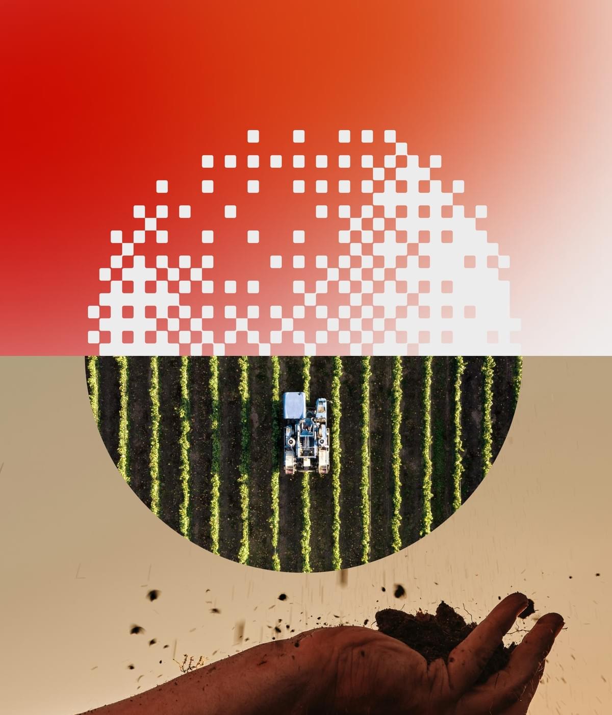 broken image