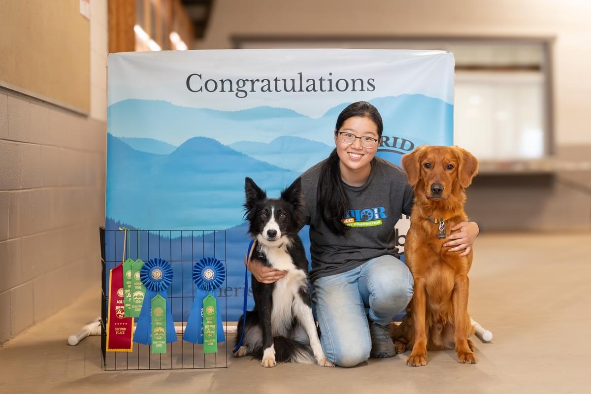 We provide a safe and comfortable space for your dog when you're away, with personalized care and attention. Boarding & Sitting What We Offer LoveGood Canines is a dog business located in Asheville, NC. I offer dog training, boarding/sitting, check ins, daycare, and more.