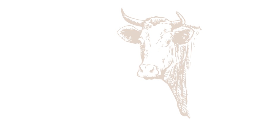 Ilustración cara vaca