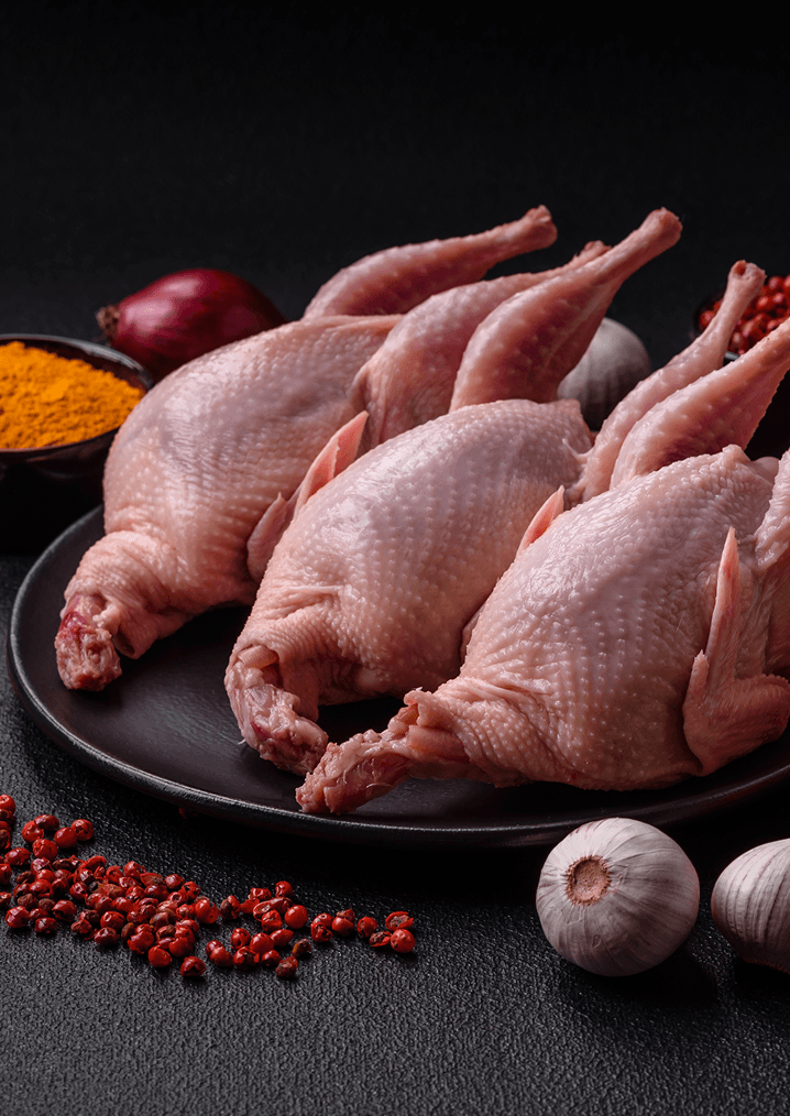 Pollo