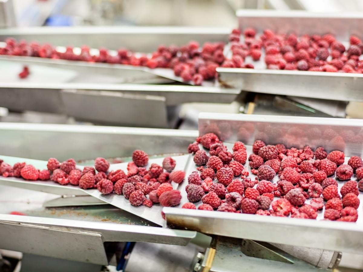 Frozen Raspberries Processor