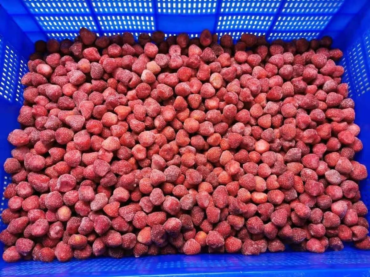 IQF Strawberries American No.13 Variety