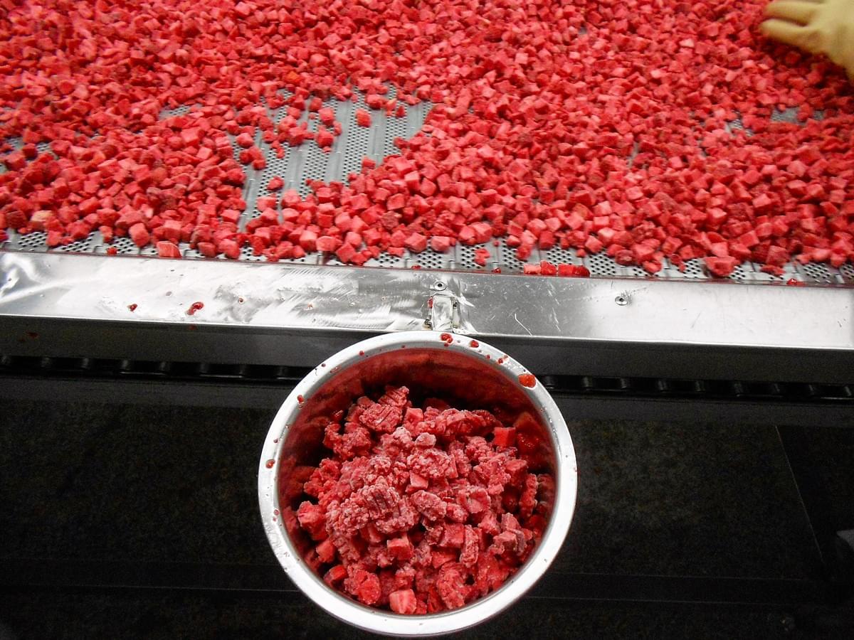 IQF Frozen Strawberry Dices Manufacture