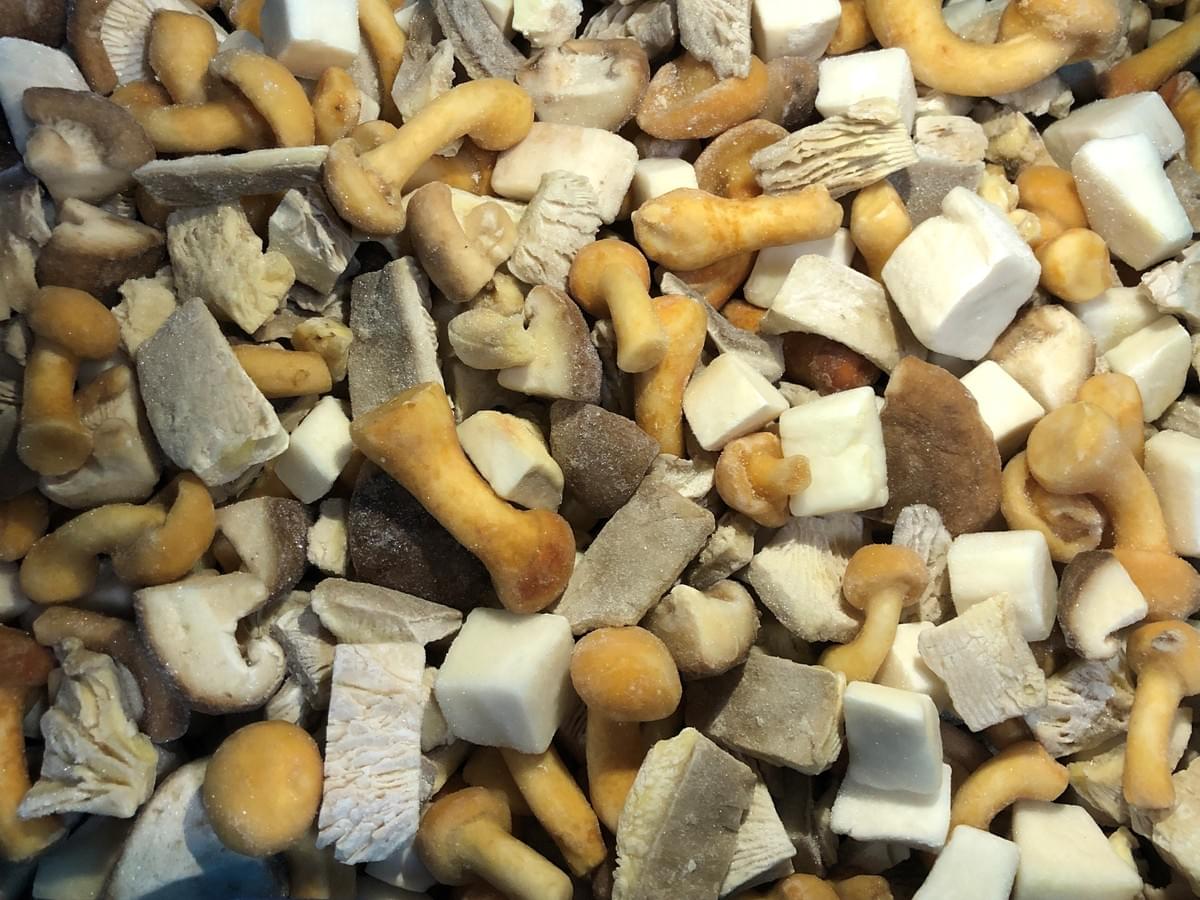IQF frozen mushrooms supplied by SINOFROST in China