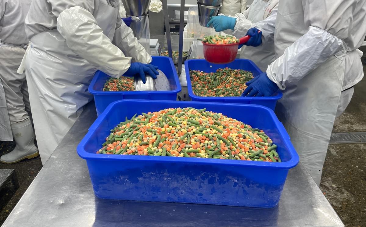 IQF Mixed Vegetables