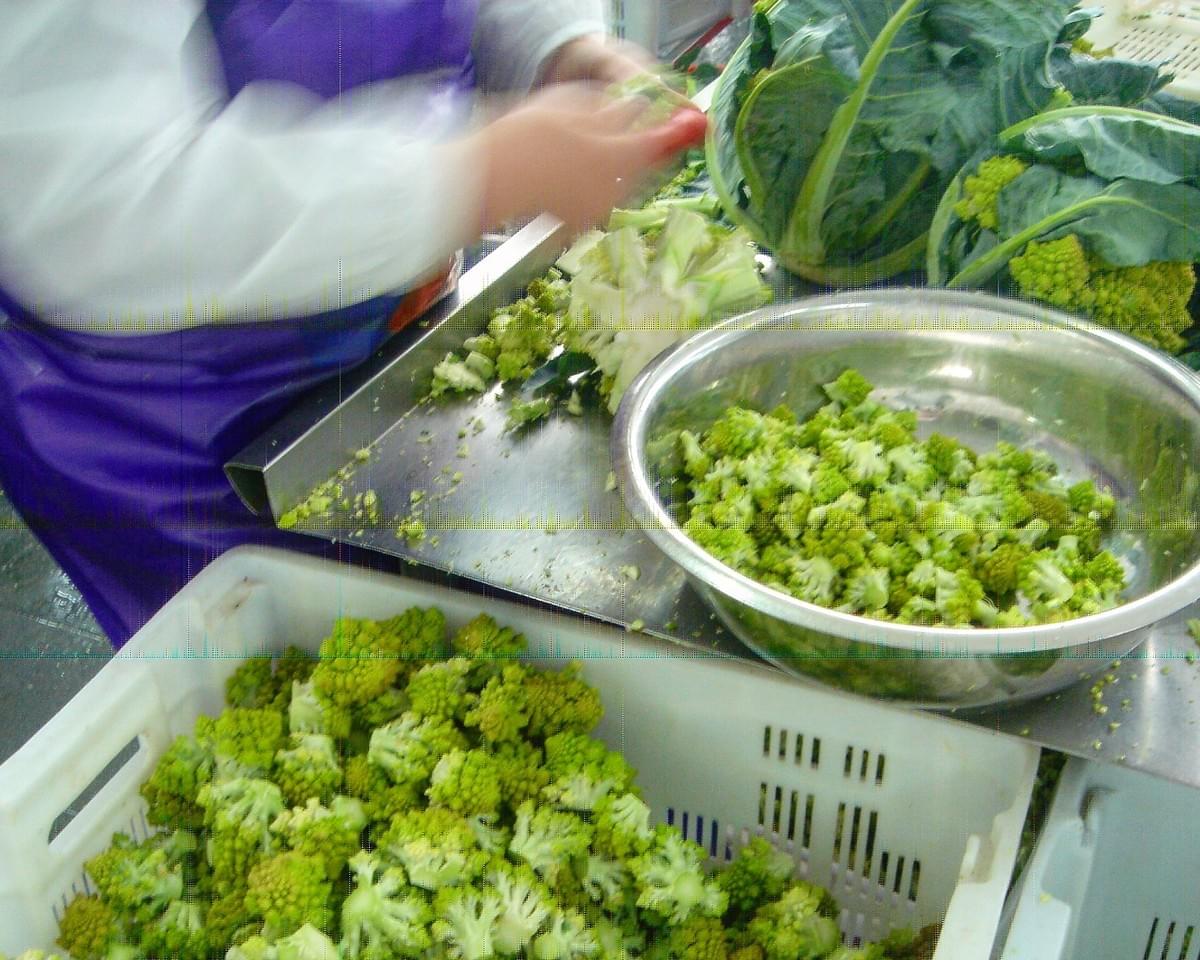 IQF Romanesco Florets