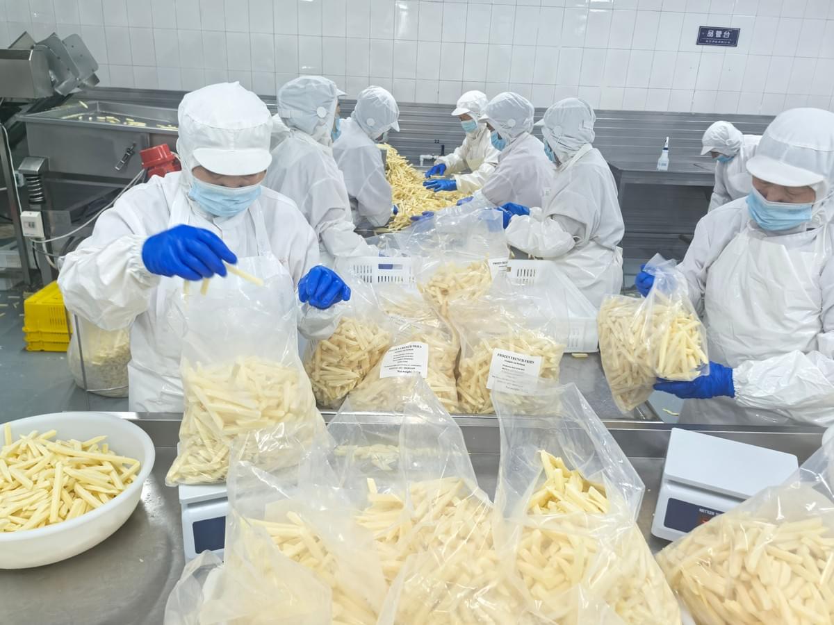Frozen french fries straight cuts are packed in factory for exporting