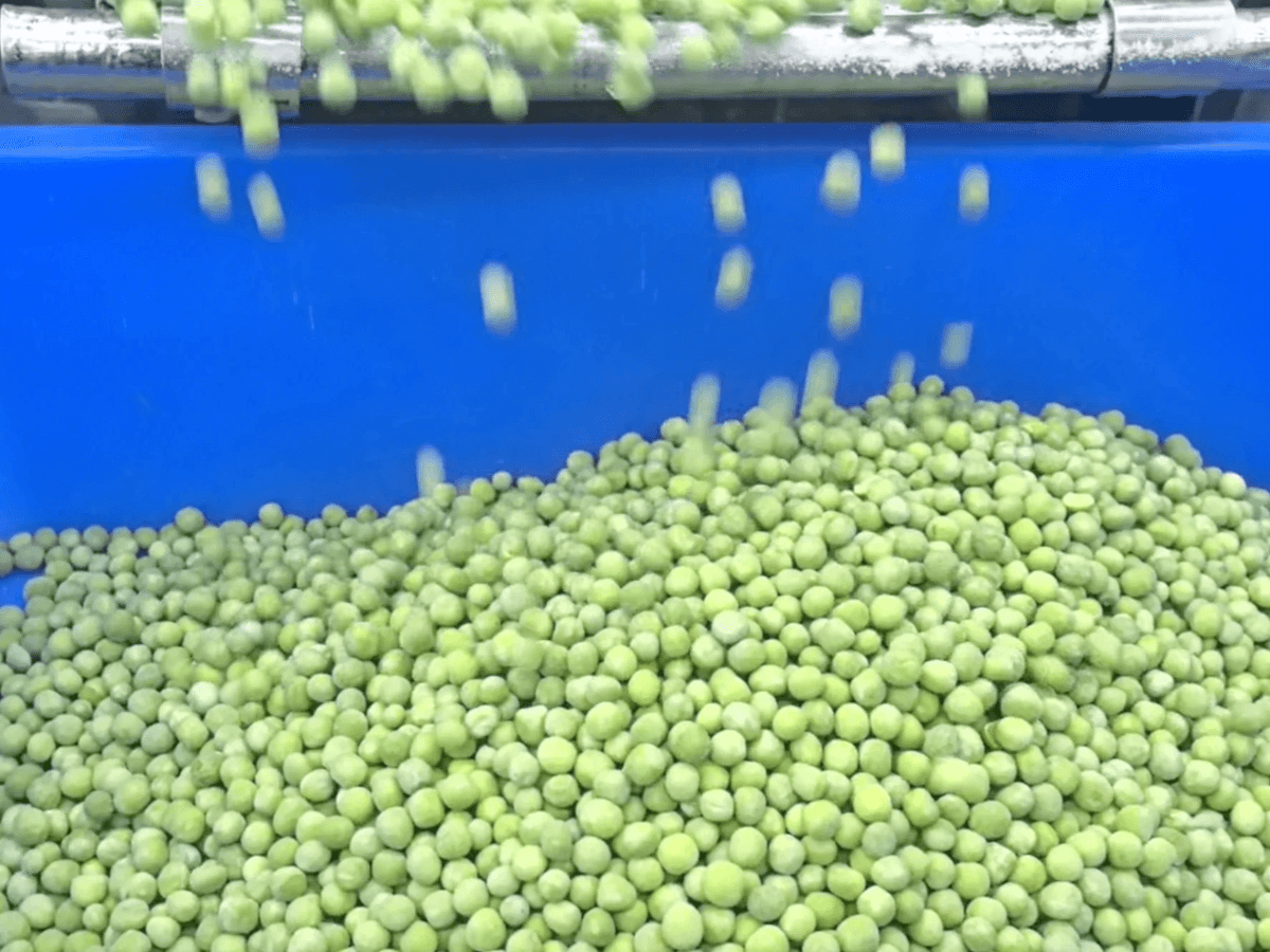 IQF Green Peas
