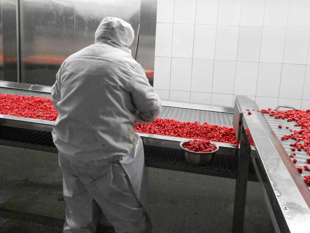 IQF Frozen Strawberry Dices Manufacture